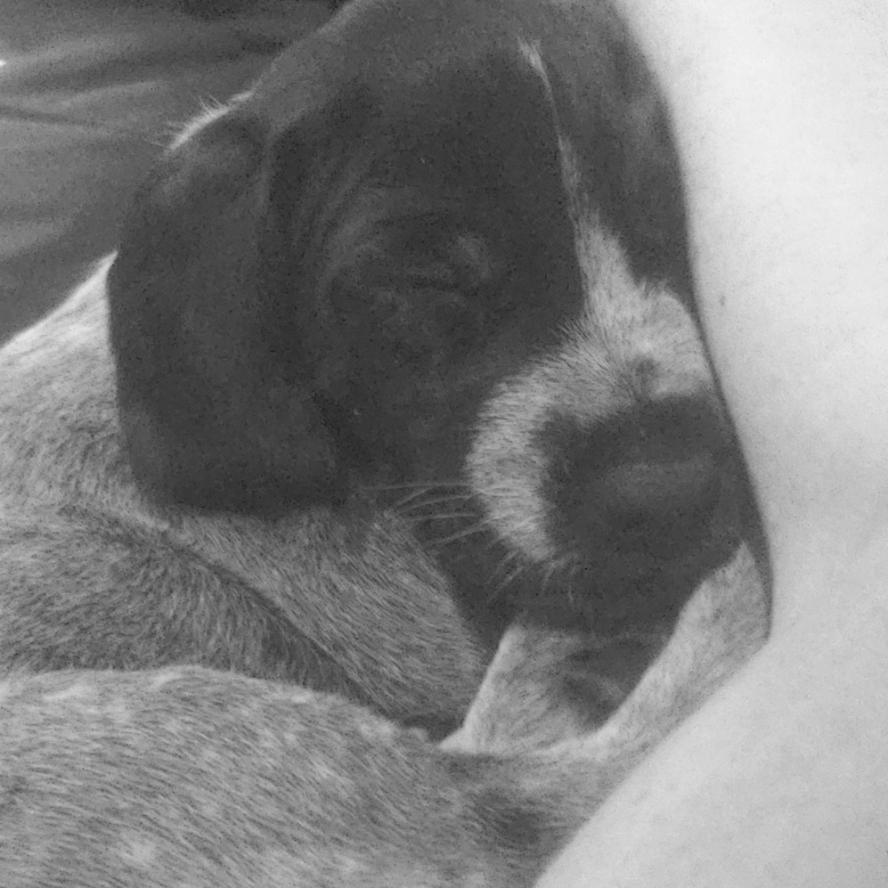 Meet your Posher, Lynette